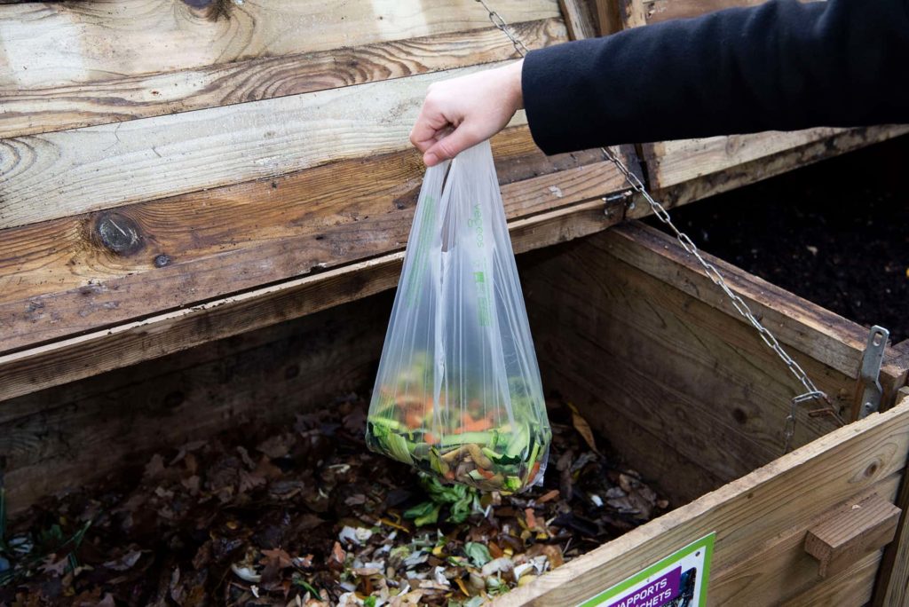 Les sacs compostables et le processus du compostage -Éco-quartier MHM